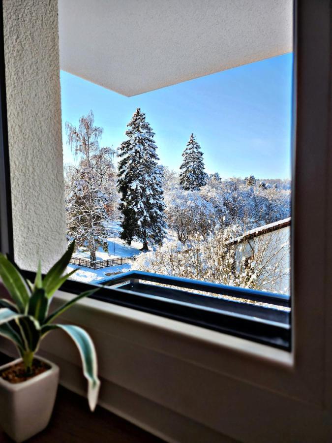 Lions Place Premium Apartments Executive Luxus Penthouse Inklusive Spa Heidenheim an der Brenz Exterior foto