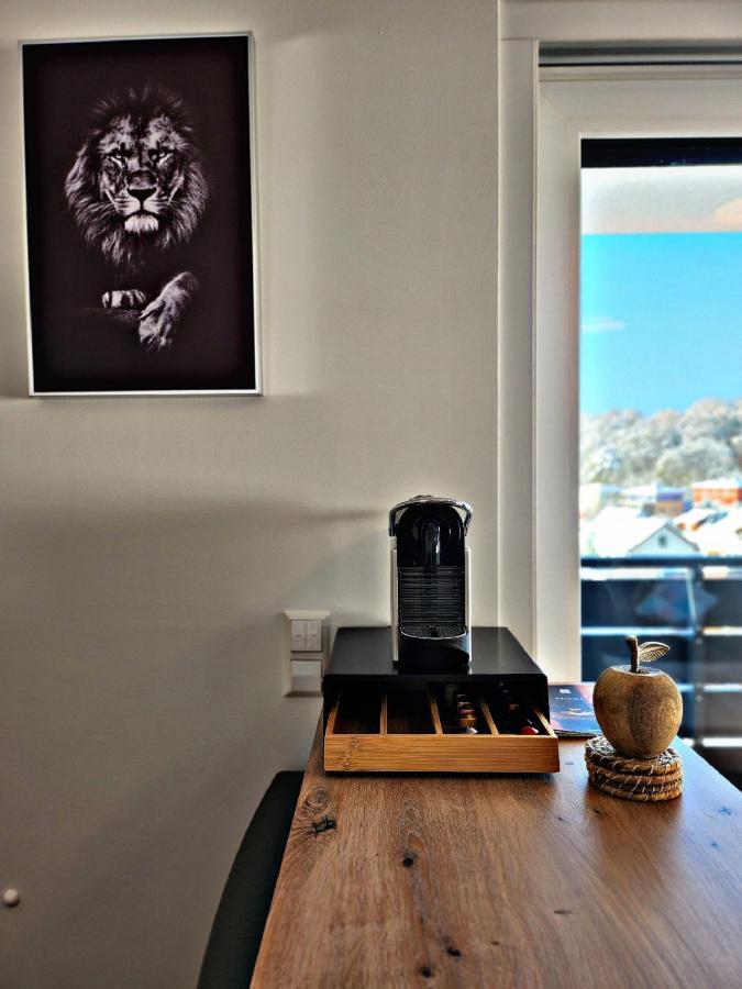 Lions Place Premium Apartments Executive Luxus Penthouse Inklusive Spa Heidenheim an der Brenz Exterior foto