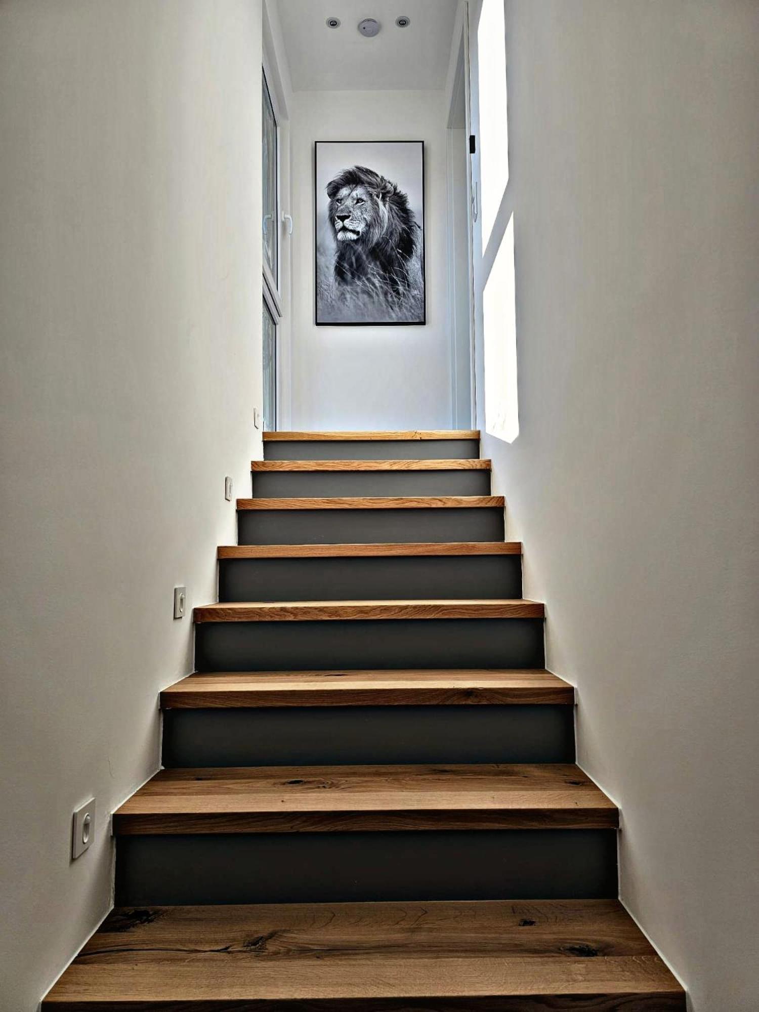 Lions Place Premium Apartments Executive Luxus Penthouse Inklusive Spa Heidenheim an der Brenz Exterior foto