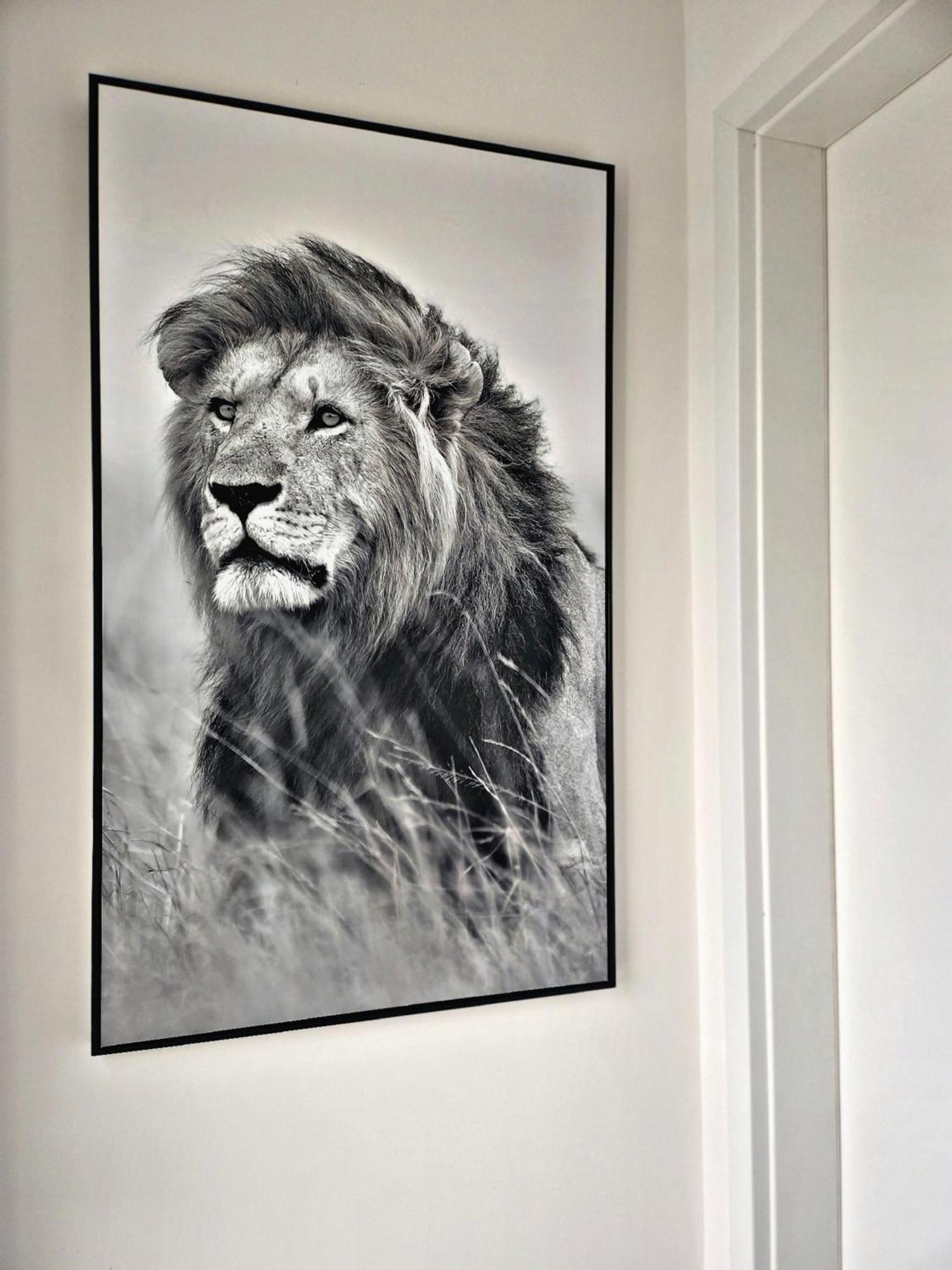 Lions Place Premium Apartments Executive Luxus Penthouse Inklusive Spa Heidenheim an der Brenz Exterior foto